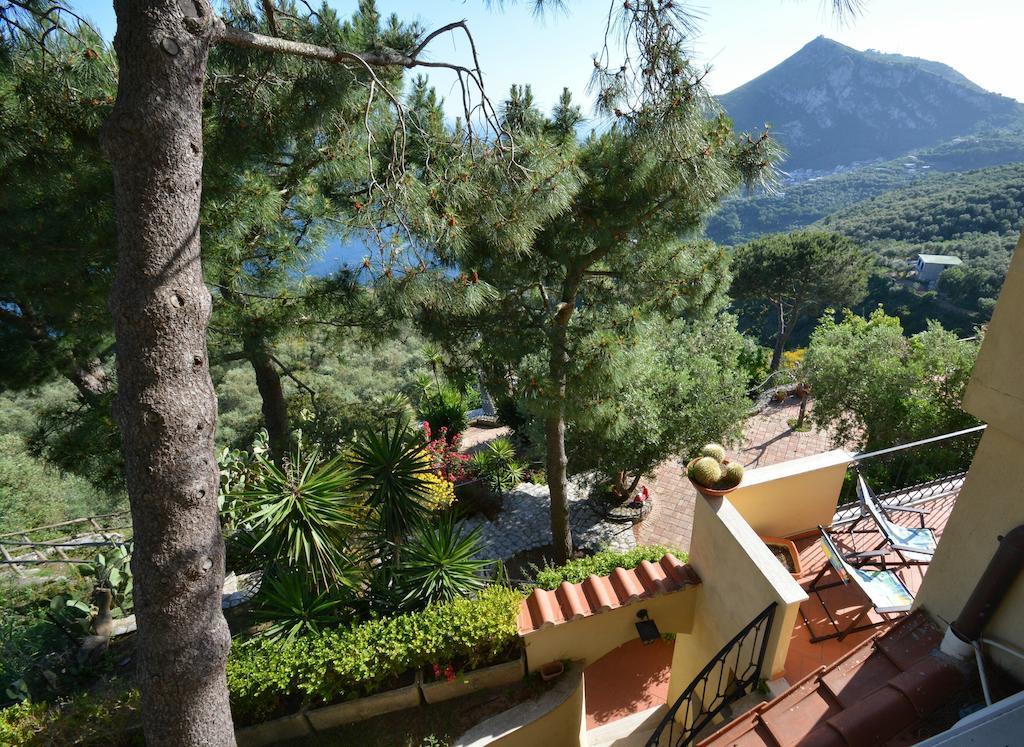 Neranya Apartment Massa Lubrense Ruang foto