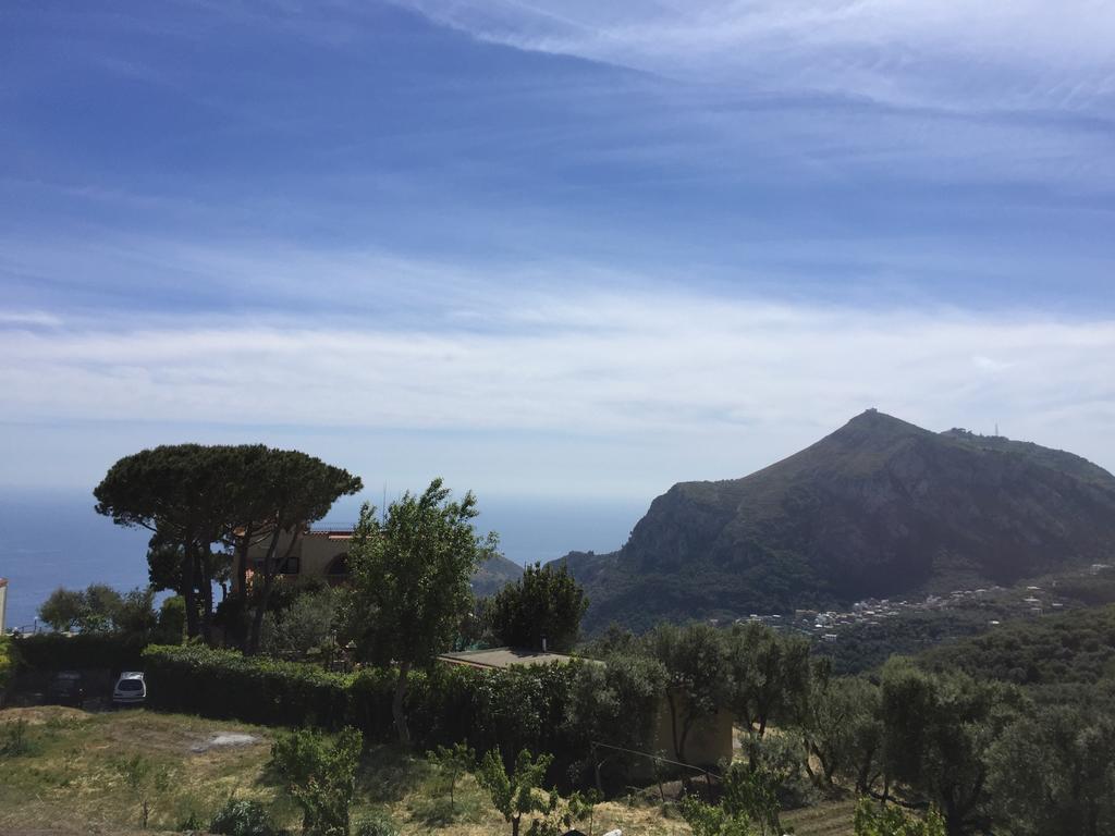 Neranya Apartment Massa Lubrense Ruang foto