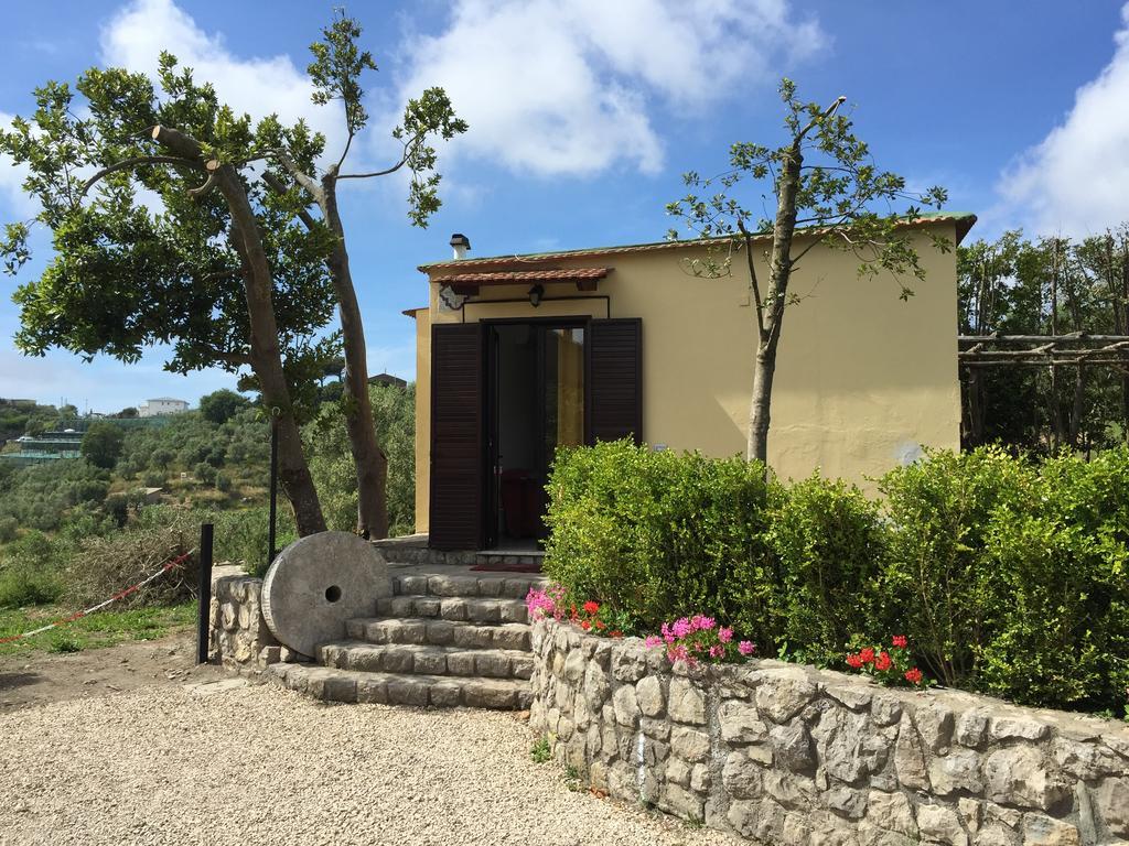 Neranya Apartment Massa Lubrense Bagian luar foto