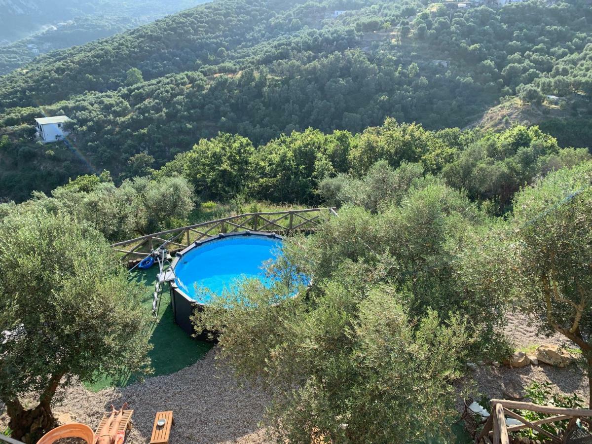 Neranya Apartment Massa Lubrense Bagian luar foto